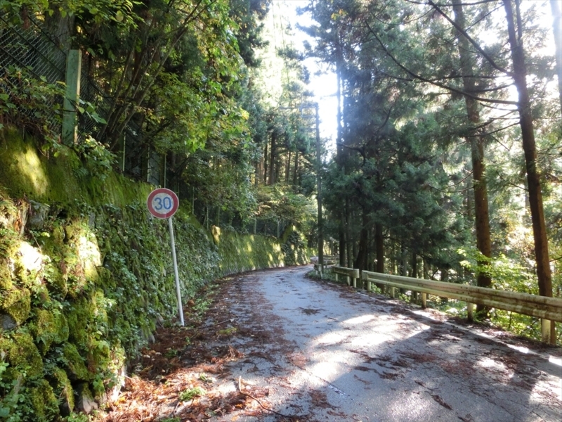 f:id:Margatroid:20171101184312j:plain f:id:Margatroid:20171101184312j:plain