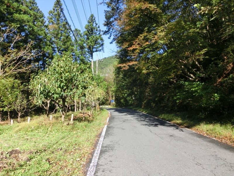 f:id:Margatroid:20171101184334j:plain f:id:Margatroid:20171101184334j:plain