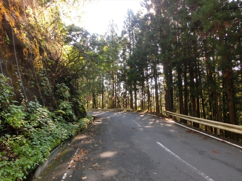 f:id:Margatroid:20171101184337j:plain f:id:Margatroid:20171101184337j:plain