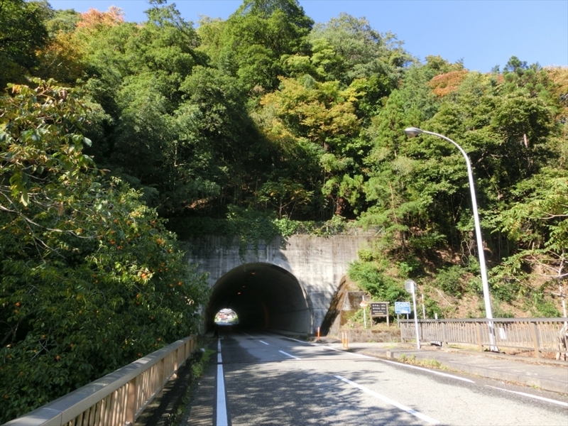 f:id:Margatroid:20171101184348j:plain f:id:Margatroid:20171101184348j:plain