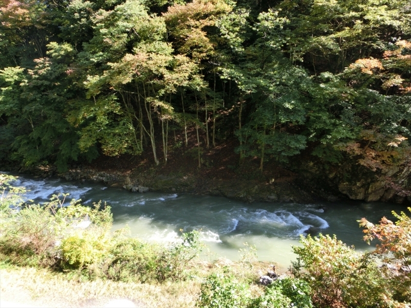 f:id:Margatroid:20171101184357j:plain f:id:Margatroid:20171101184357j:plain