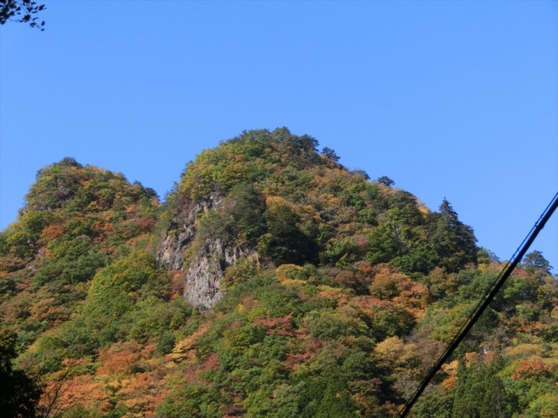 f:id:Margatroid:20171101184400j:plain f:id:Margatroid:20171101184400j:plain