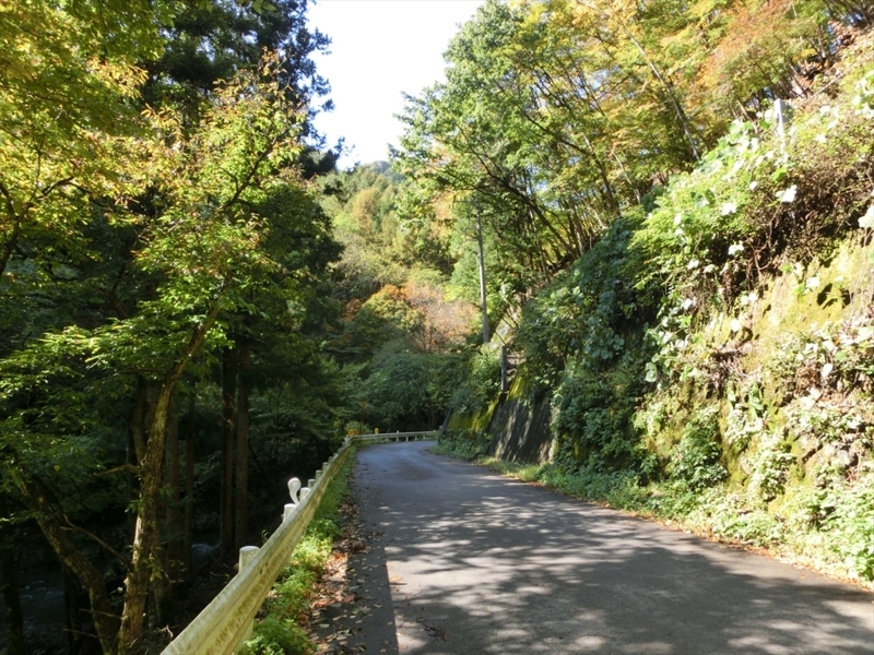 f:id:Margatroid:20171101184401j:plain f:id:Margatroid:20171101184401j:plain