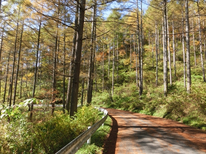 f:id:Margatroid:20171101184419j:plain f:id:Margatroid:20171101184419j:plain