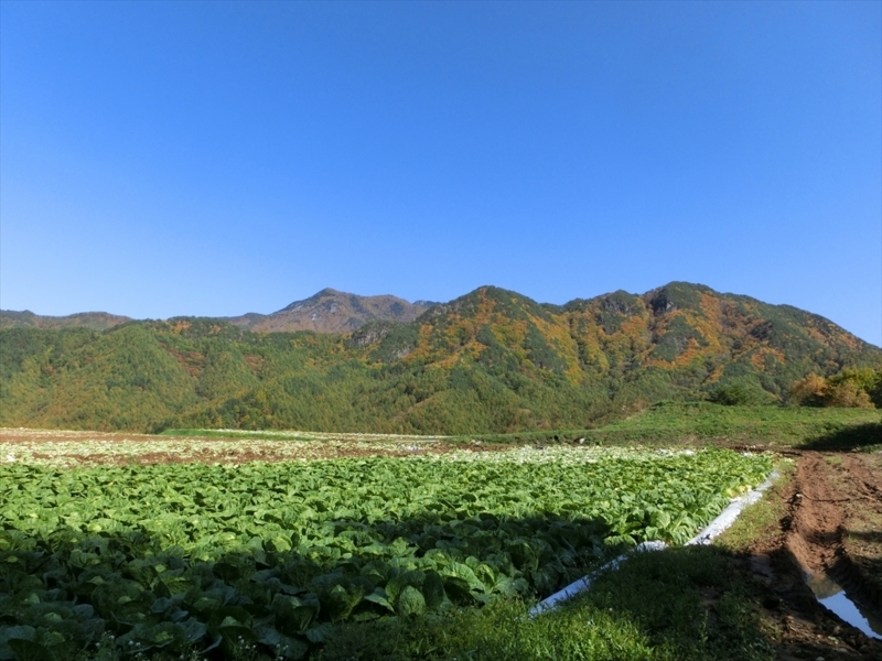 f:id:Margatroid:20171101184431j:plain f:id:Margatroid:20171101184431j:plain