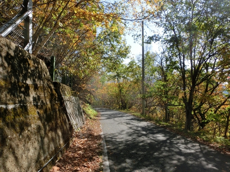 f:id:Margatroid:20171101184437j:plain f:id:Margatroid:20171101184437j:plain