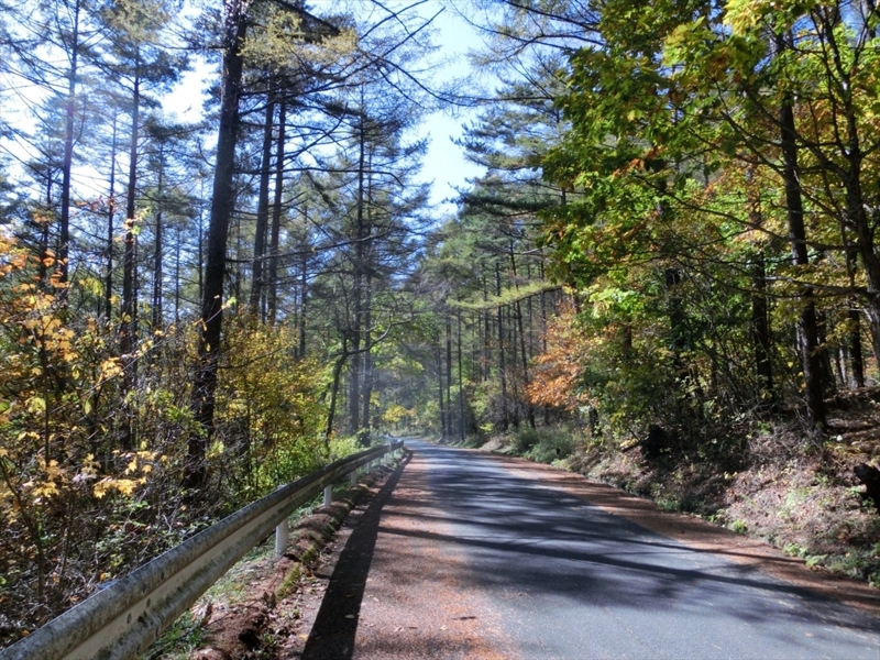 f:id:Margatroid:20171101184438j:plain f:id:Margatroid:20171101184438j:plain