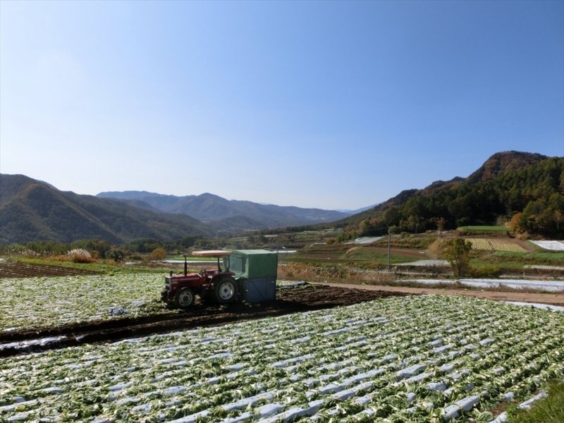 f:id:Margatroid:20171101184439j:plain f:id:Margatroid:20171101184439j:plain