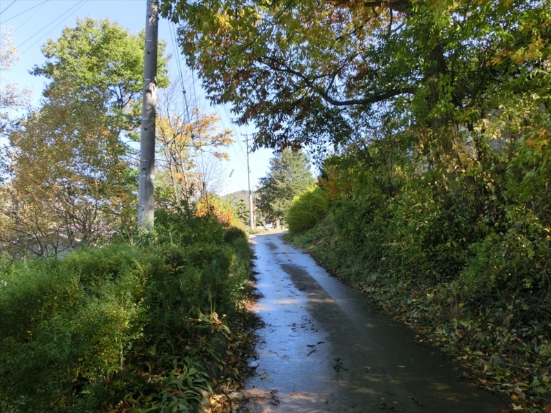 f:id:Margatroid:20171101184442j:plain f:id:Margatroid:20171101184442j:plain