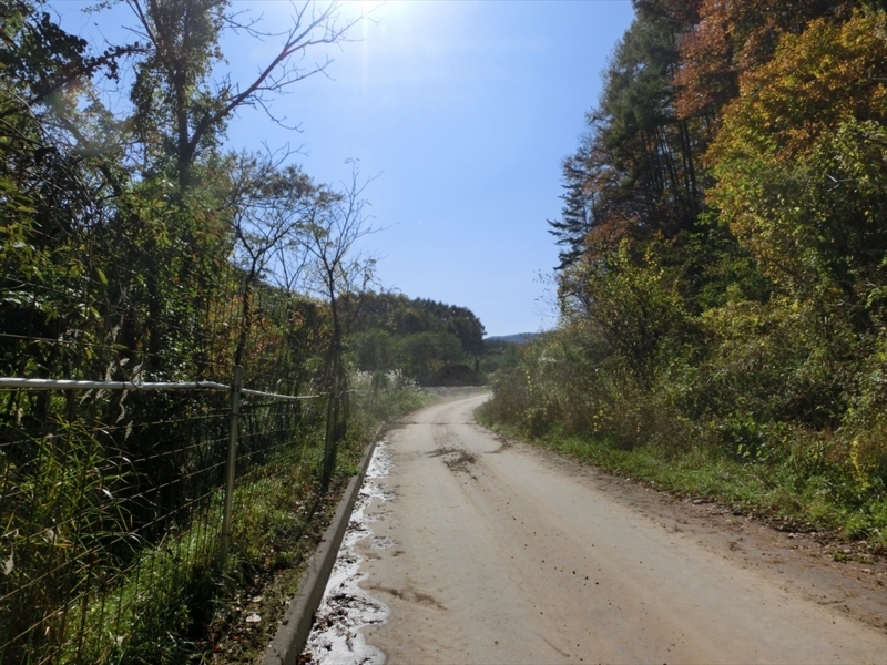 f:id:Margatroid:20171101184444j:plain f:id:Margatroid:20171101184444j:plain