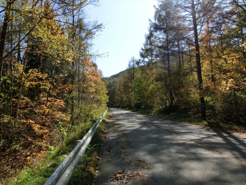 f:id:Margatroid:20171101184450j:plain f:id:Margatroid:20171101184450j:plain