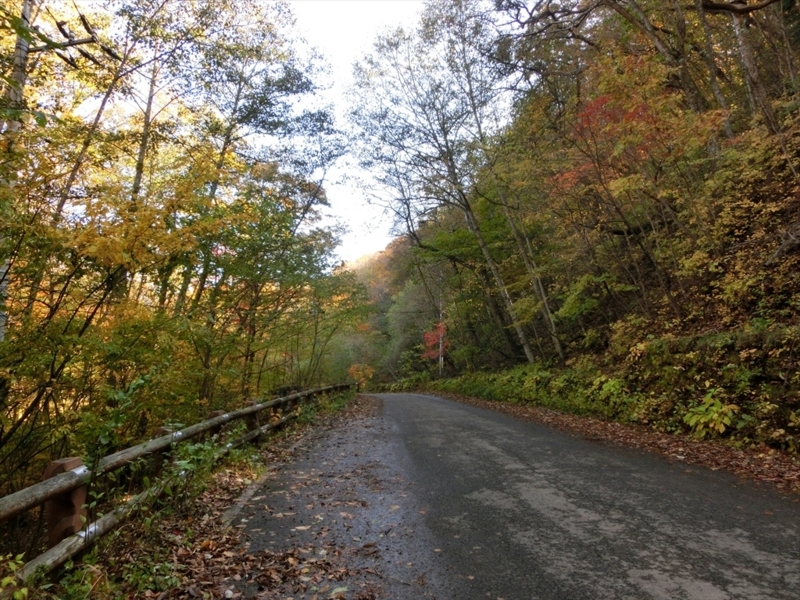 f:id:Margatroid:20171101184455j:plain f:id:Margatroid:20171101184455j:plain