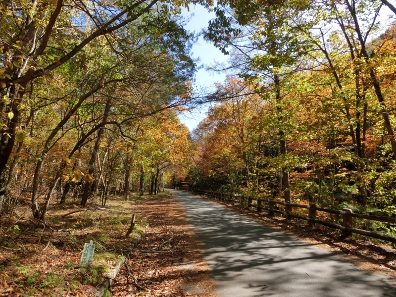 f:id:Margatroid:20171101184456j:plain f:id:Margatroid:20171101184456j:plain