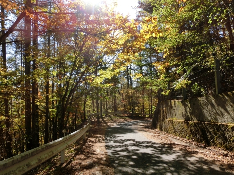 f:id:Margatroid:20171101184501j:plain f:id:Margatroid:20171101184501j:plain