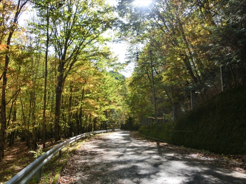 f:id:Margatroid:20171101184502j:plain f:id:Margatroid:20171101184502j:plain