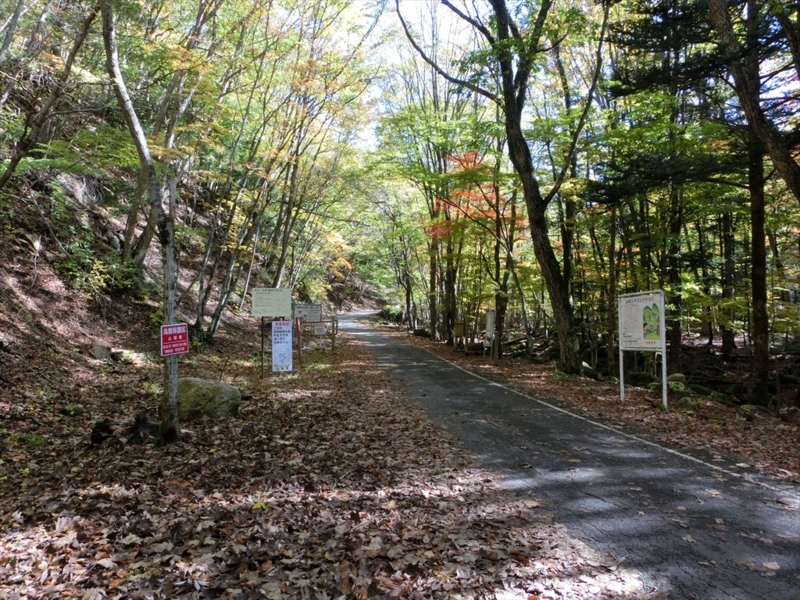 f:id:Margatroid:20171101184504j:plain f:id:Margatroid:20171101184504j:plain