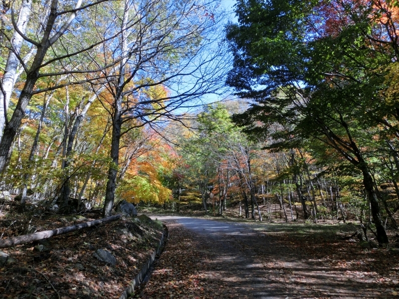 f:id:Margatroid:20171101184508j:plain f:id:Margatroid:20171101184508j:plain