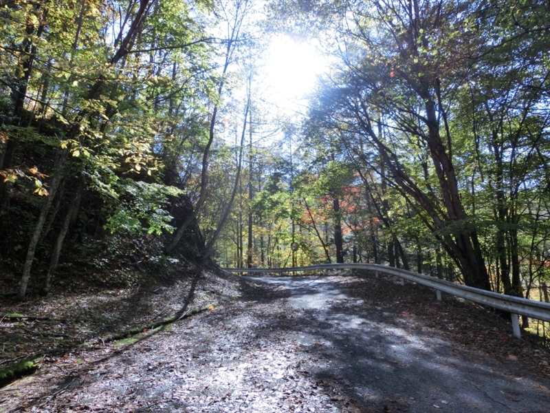 f:id:Margatroid:20171101184509j:plain f:id:Margatroid:20171101184509j:plain