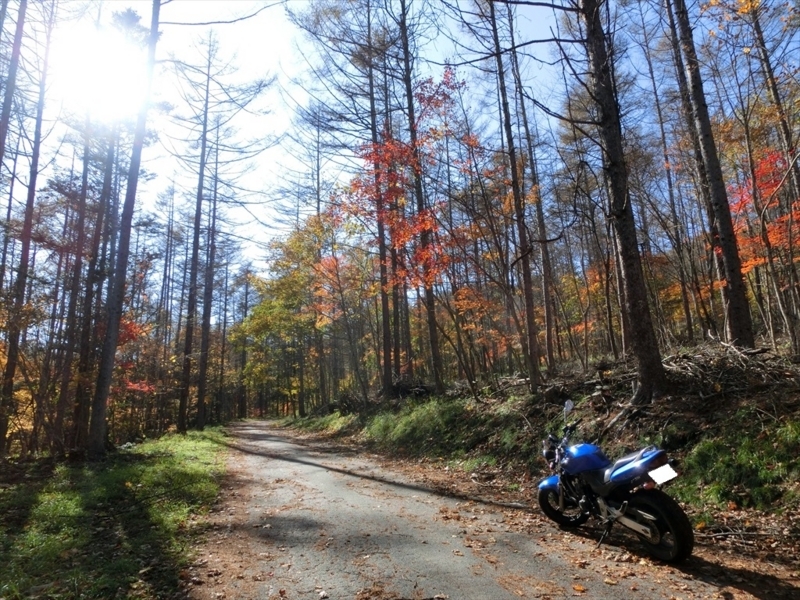 f:id:Margatroid:20171101184511j:plain