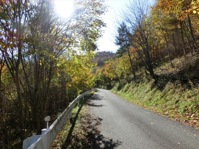 f:id:Margatroid:20171101184512j:plain f:id:Margatroid:20171101184512j:plain