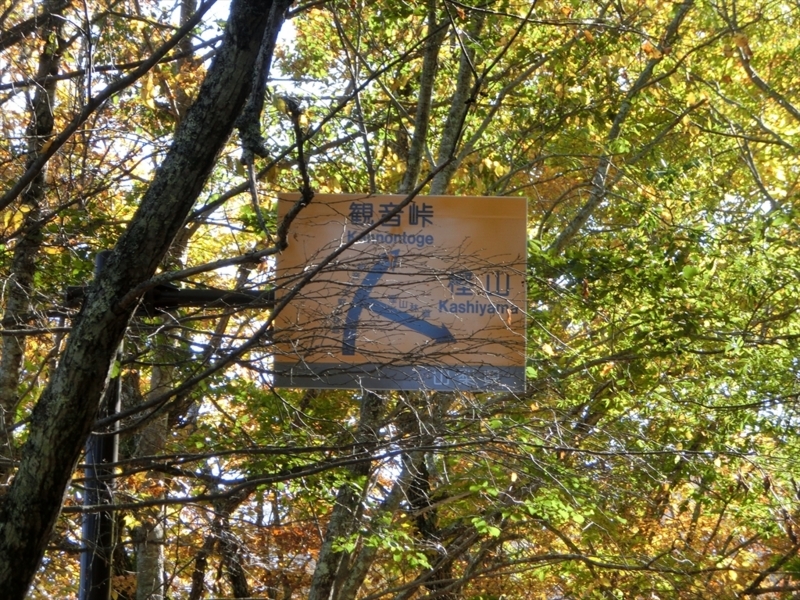 f:id:Margatroid:20171101184514j:plain f:id:Margatroid:20171101184514j:plain