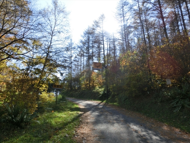 f:id:Margatroid:20171101184515j:plain f:id:Margatroid:20171101184515j:plain