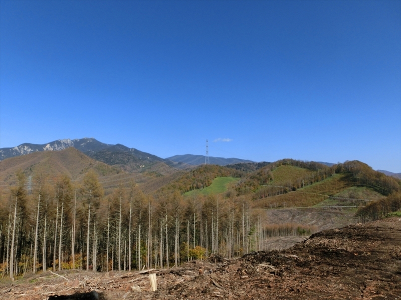 f:id:Margatroid:20171101184518j:plain f:id:Margatroid:20171101184518j:plain