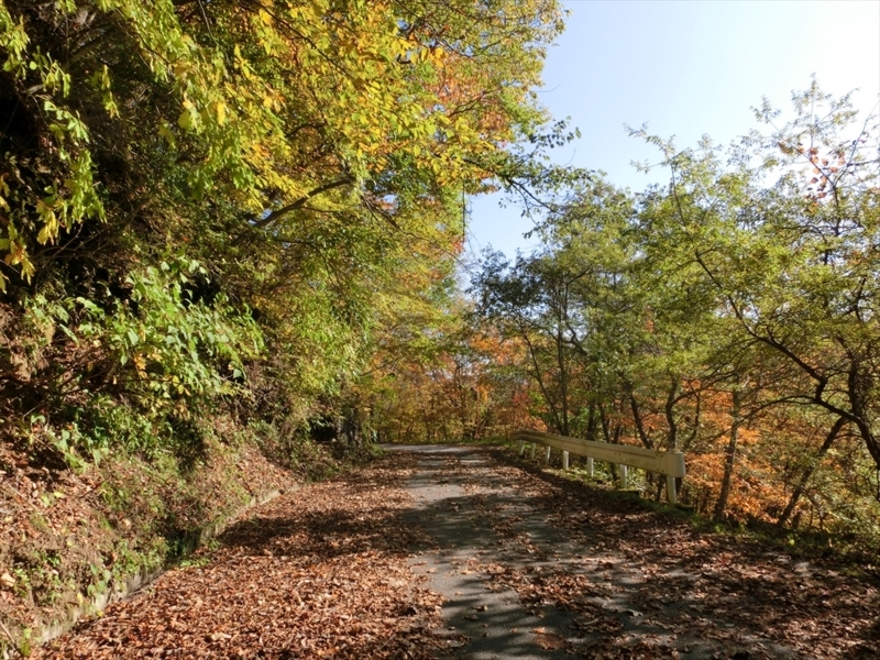 f:id:Margatroid:20171101184521j:plain f:id:Margatroid:20171101184521j:plain