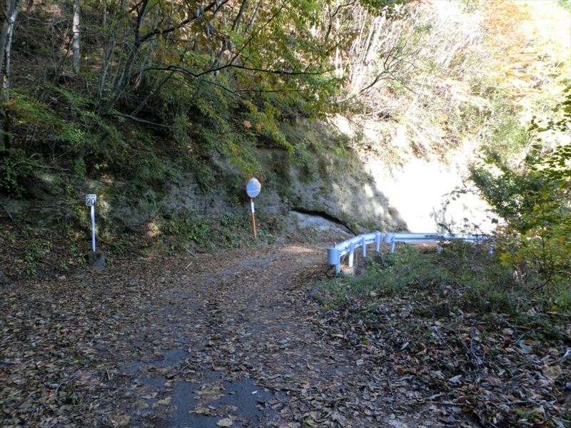 f:id:Margatroid:20171101184522j:plain f:id:Margatroid:20171101184522j:plain