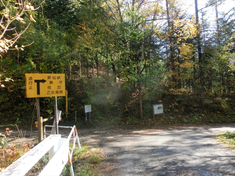 f:id:Margatroid:20171101184524j:plain f:id:Margatroid:20171101184524j:plain