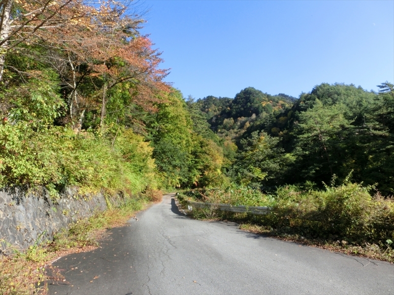 f:id:Margatroid:20171101184528j:plain f:id:Margatroid:20171101184528j:plain