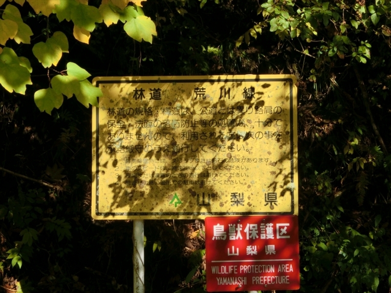 f:id:Margatroid:20171101184529j:plain f:id:Margatroid:20171101184529j:plain