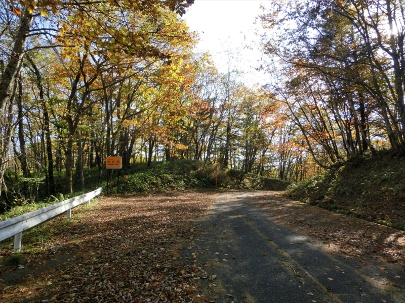 f:id:Margatroid:20171101184536j:plain f:id:Margatroid:20171101184536j:plain