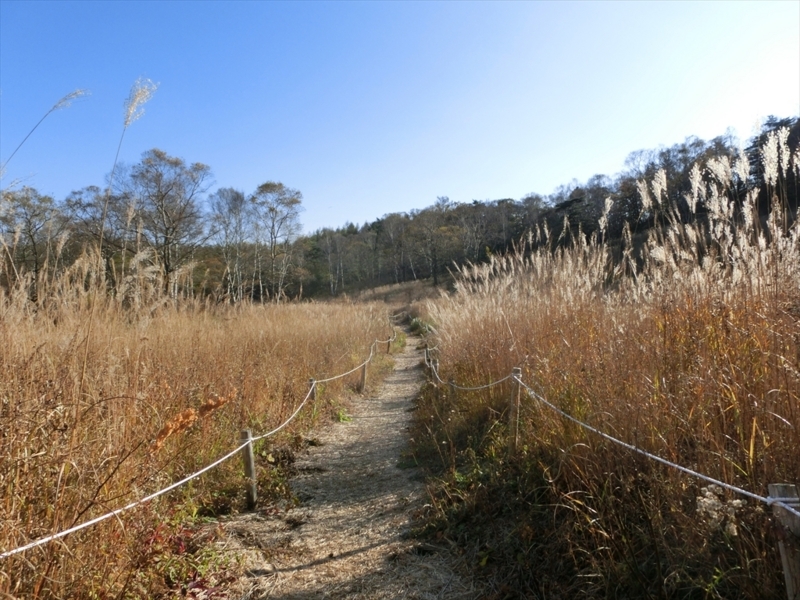 f:id:Margatroid:20171101184546j:plain f:id:Margatroid:20171101184546j:plain