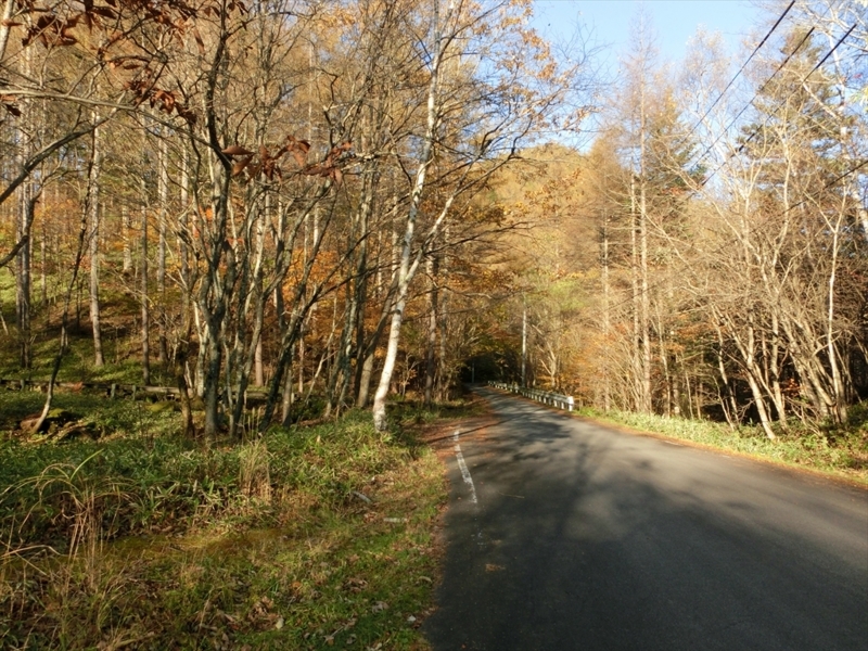 f:id:Margatroid:20171101184550j:plain f:id:Margatroid:20171101184550j:plain