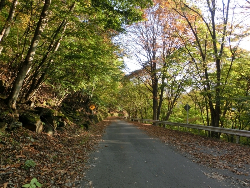 f:id:Margatroid:20171101184604j:plain f:id:Margatroid:20171101184604j:plain