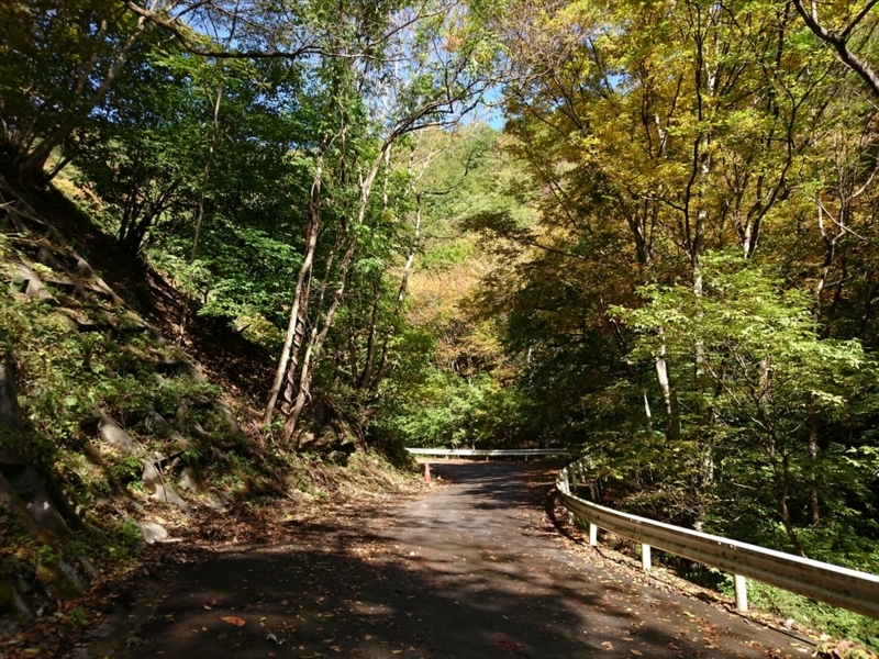 f:id:Margatroid:20171105164054j:plain f:id:Margatroid:20171105164054j:plain