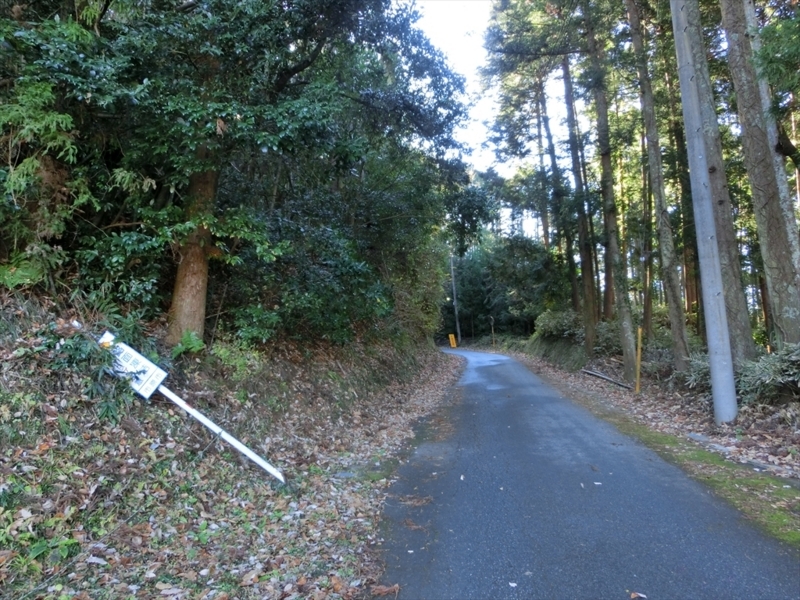 f:id:Margatroid:20171214174800j:plain f:id:Margatroid:20171214174800j:plain