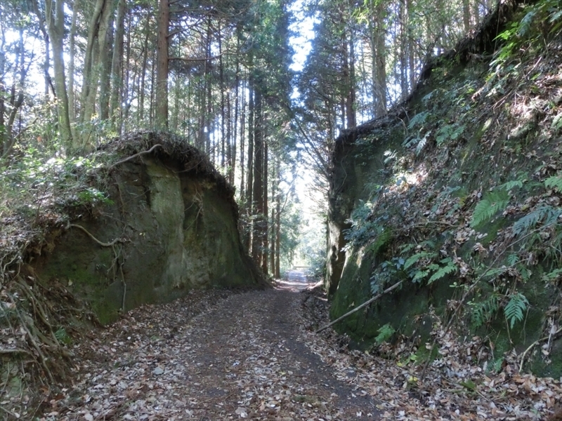 f:id:Margatroid:20171214174815j:plain f:id:Margatroid:20171214174815j:plain