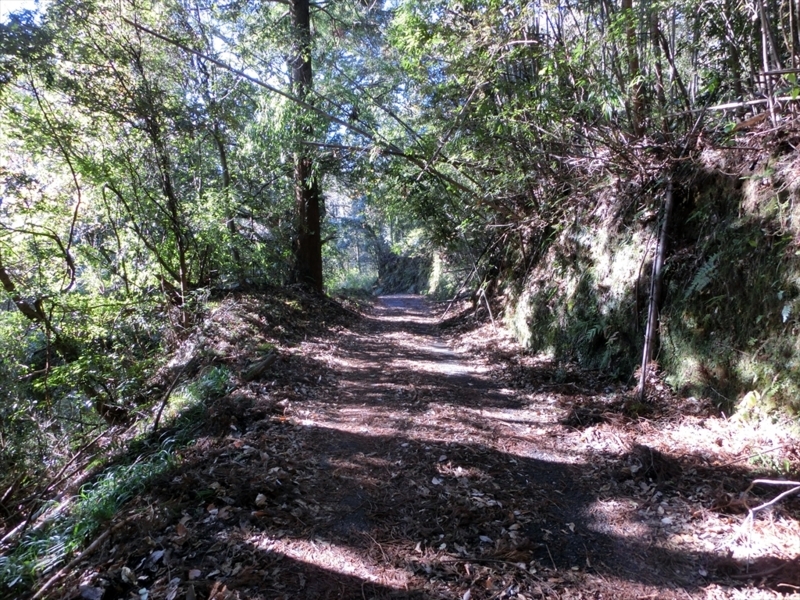 f:id:Margatroid:20171214174816j:plain f:id:Margatroid:20171214174816j:plain