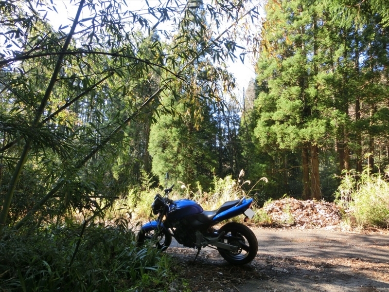 f:id:Margatroid:20171214174817j:plain f:id:Margatroid:20171214174817j:plain