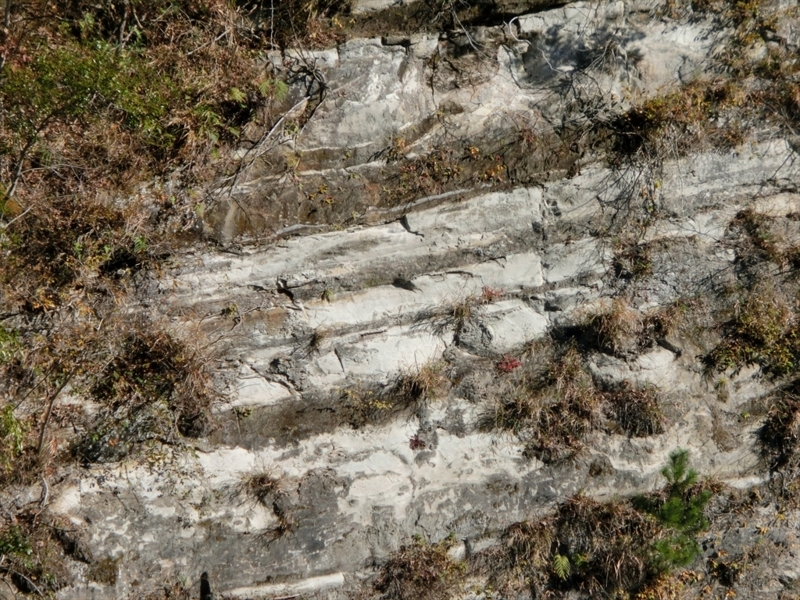 f:id:Margatroid:20171214174833j:plain f:id:Margatroid:20171214174833j:plain