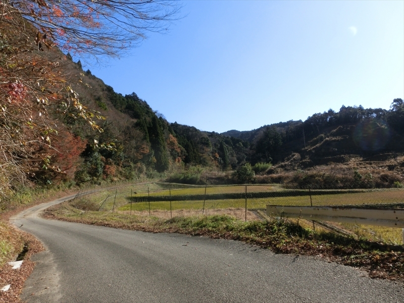 f:id:Margatroid:20171214174836j:plain f:id:Margatroid:20171214174836j:plain