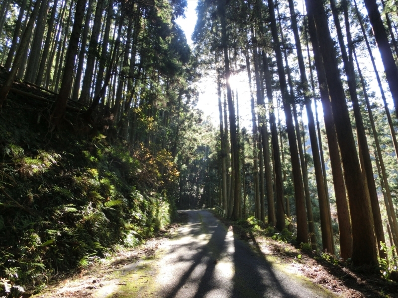 f:id:Margatroid:20171214174838j:plain f:id:Margatroid:20171214174838j:plain