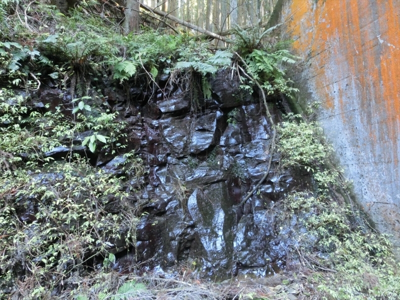 f:id:Margatroid:20171214174841j:plain f:id:Margatroid:20171214174841j:plain