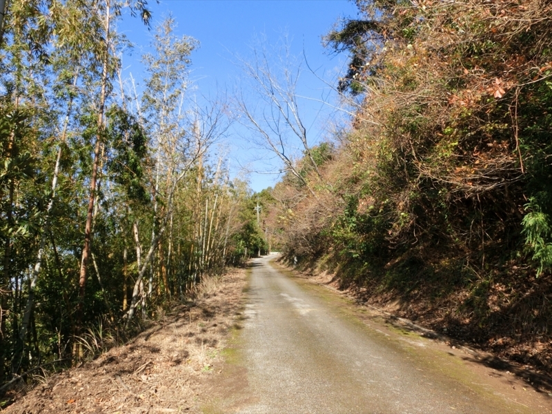 f:id:Margatroid:20171214174842j:plain f:id:Margatroid:20171214174842j:plain