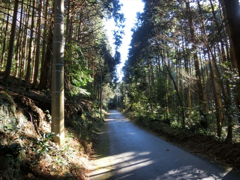 f:id:Margatroid:20171214174845j:plain f:id:Margatroid:20171214174845j:plain