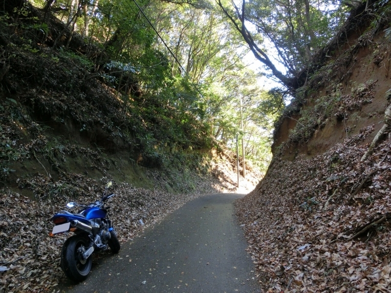 f:id:Margatroid:20171214174846j:plain f:id:Margatroid:20171214174846j:plain