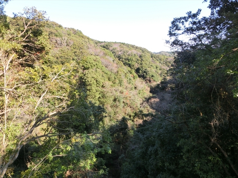 f:id:Margatroid:20171214174848j:plain f:id:Margatroid:20171214174848j:plain