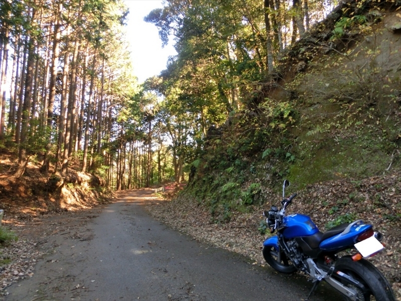 f:id:Margatroid:20171214174849j:plain f:id:Margatroid:20171214174849j:plain